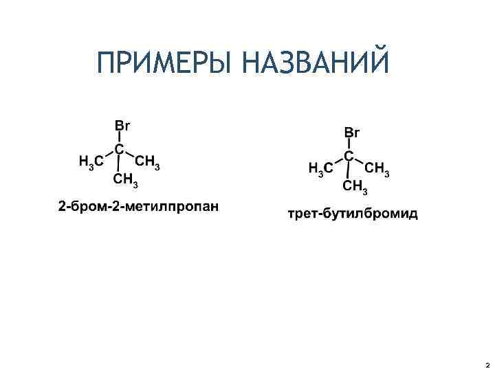 ПРИМЕРЫ НАЗВАНИЙ 2 