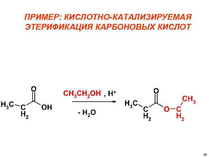 ПРИМЕР: КИСЛОТНО-КАТАЛИЗИРУЕМАЯ ЭТЕРИФИКАЦИЯ КАРБОНОВЫХ КИСЛОТ 22 