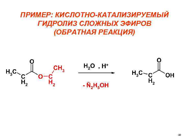 ПРИМЕР: КИСЛОТНО-КАТАЛИЗИРУЕМЫЙ ГИДРОЛИЗ СЛОЖНЫХ ЭФИРОВ (ОБРАТНАЯ РЕАКЦИЯ) 23 