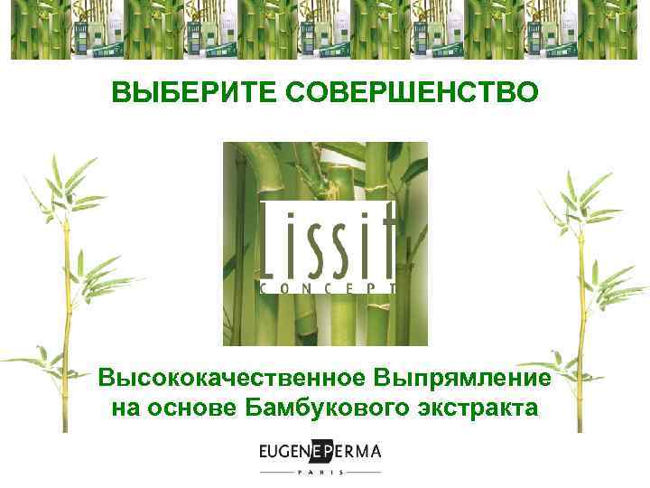 ВЫБЕРИТЕ СОВЕРШЕНСТВО Высококачественное Выпрямление на основе Бамбукового экстракта 
