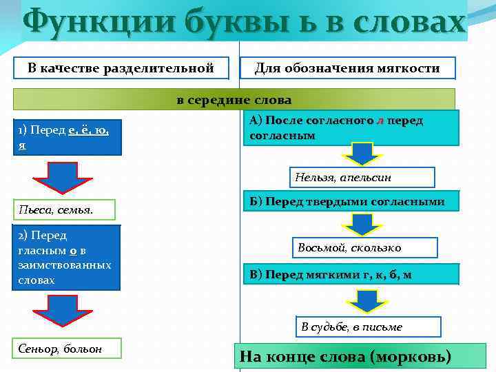 Функции буквы ь в словах В качестве разделительной Для обозначения мягкости в середине слова