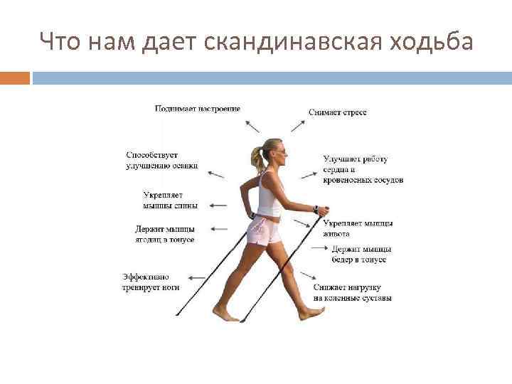 Что нам дает скандинавская ходьба 