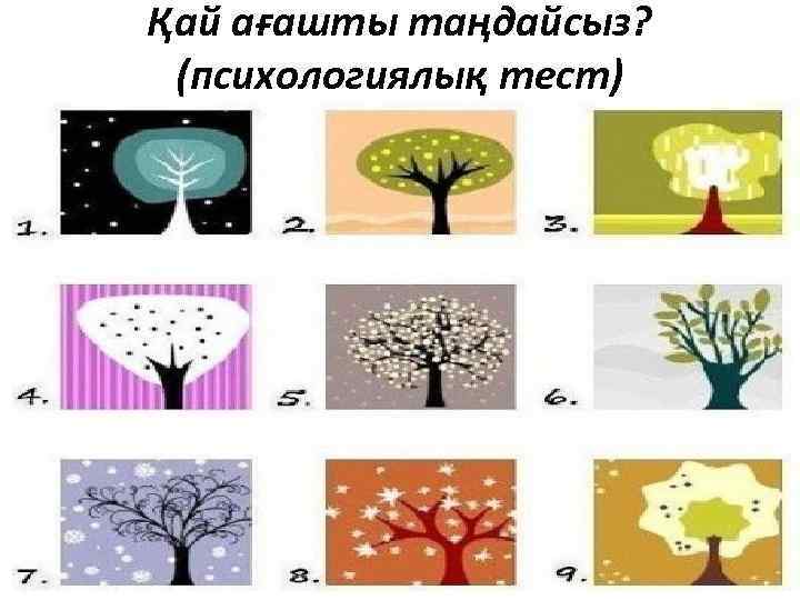 Қай ағашты таңдайсыз? (психологиялық тест) 