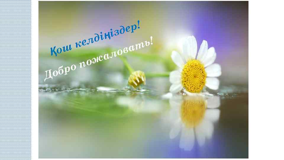 ер! ізд дің ь! кел ат ш Қо лов жа по ро об Д