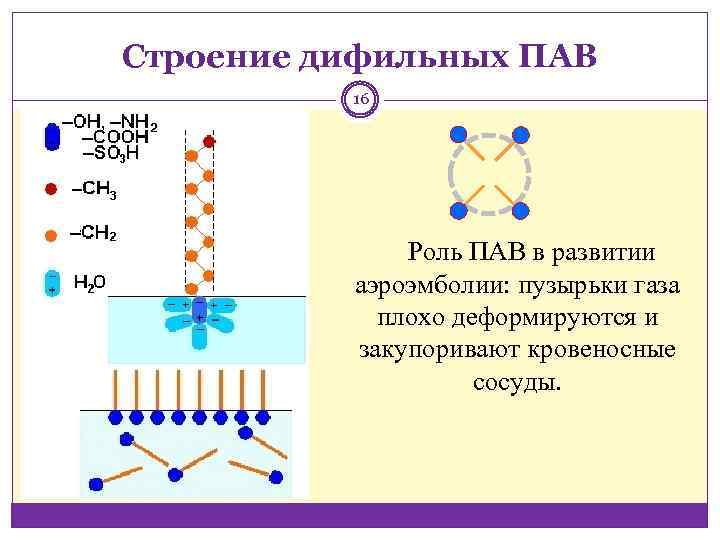 Строение дифильных ПАВ 16 Роль ПАВ в развитии аэроэмболии: пузырьки газа плохо деформируются и