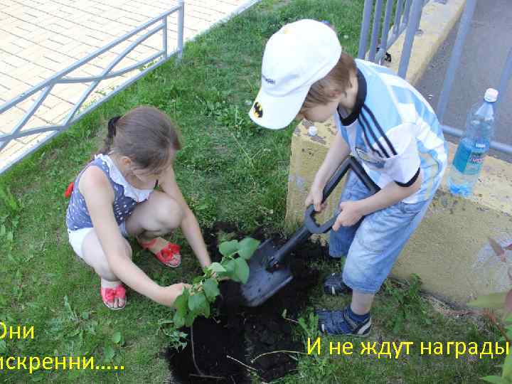 Они искренни…. . И не ждут награды 