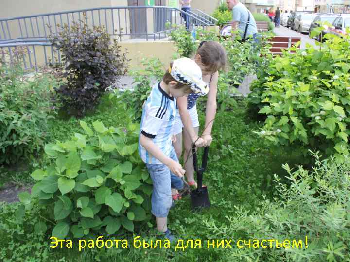 Эта работа была для них счастьем! 