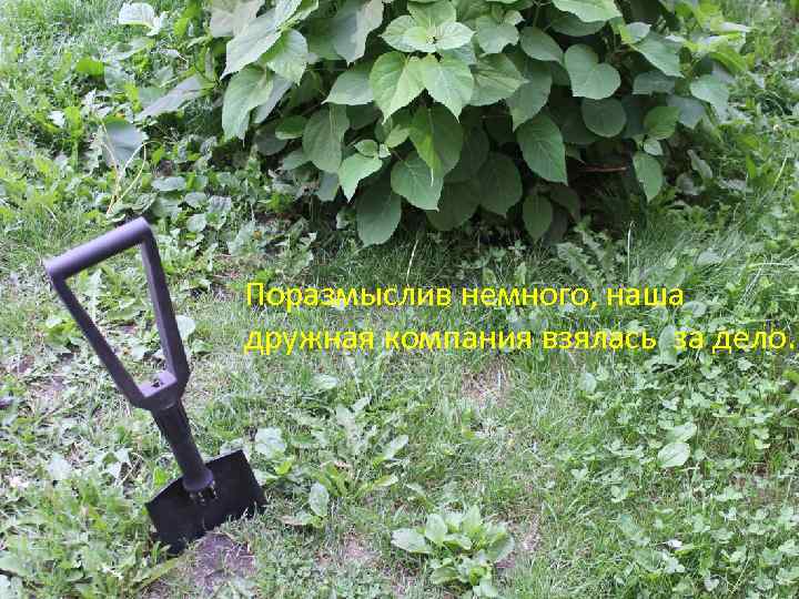 Поразмыслив немного, наша дружная компания взялась за дело. 