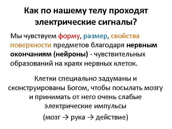 Как по нашему телу проходят электрические сигналы? Мы чувствуем форму, размер, свойства поверхности предметов