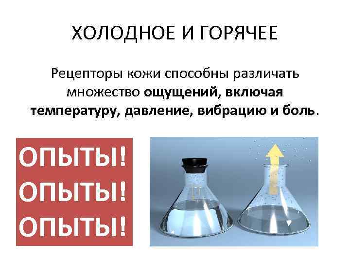 ХОЛОДНОЕ И ГОРЯЧЕЕ Рецепторы кожи способны различать множество ощущений, включая температуру, давление, вибрацию и