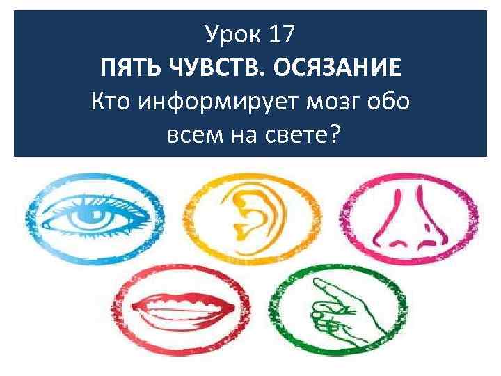 5 эмоций. 5 Чувств. У людей есть пять чувств. Пять чувств человека список. Чувствуйте все 5 чувств.