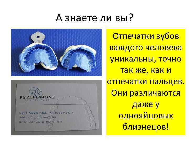А знаете ли вы? Отпечатки зубов каждого человека уникальны, точно так же, как и