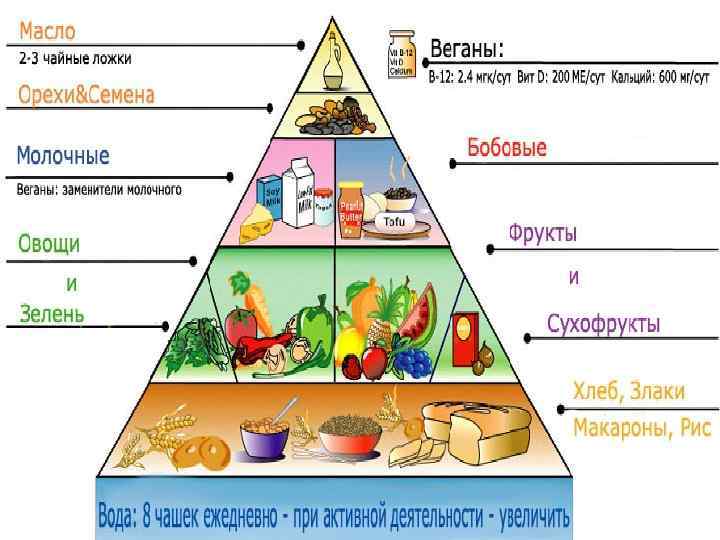 Пищевая пирамида Чтобы показать, в каком количестве каких продуктов мы нуждаемся, специалисты создали специальную