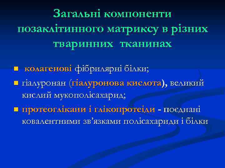 Загальні компоненти позаклітинного матриксу в різних тваринних тканинах колагенові фібрилярні білки; n гіалуронан (гіалуронова