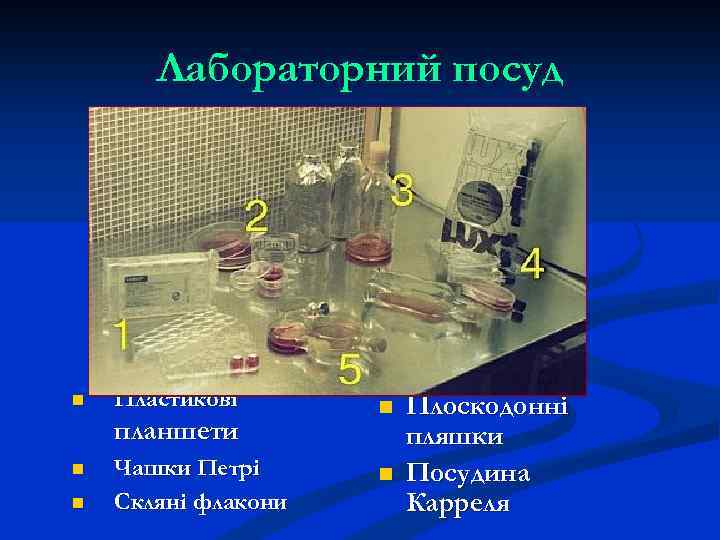 Лабораторний посуд n Пластикові планшети n n Чашки Петрі Скляні флакони n n Плоскодонні