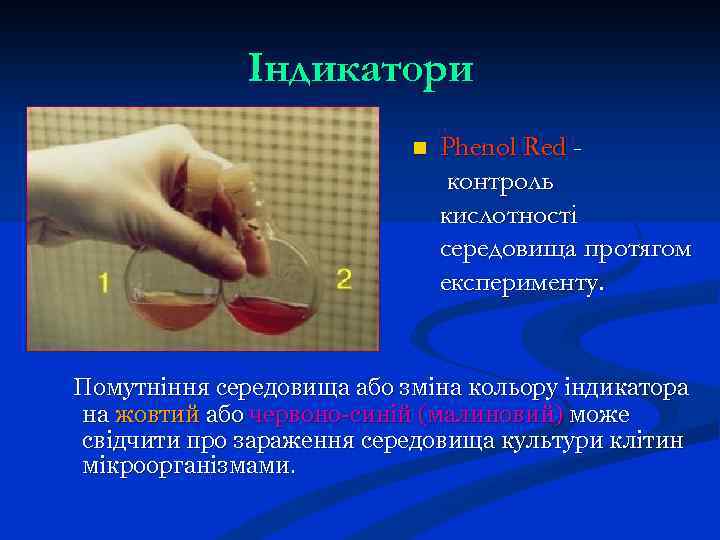 Індикатори n Phenol Red контроль кислотності середовища протягом експерименту. Помутніння середовища або зміна кольору