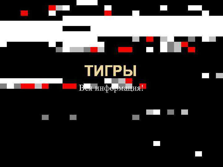 ТИГРЫ Вся информация! 