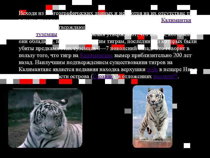 Исходя из зоогеографических данных и несмотря на их отсутствие там в настоящее время, тигры