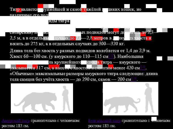 Тигр является крупнейшей и самой тяжёлой из диких кошек, но различные его подвиды сильно