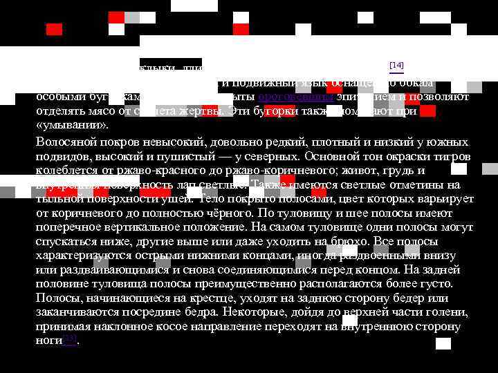 Хорошо развитые клыки, длина которых может достигать 8 см[14], помогают тигру убивать добычу. Длинный