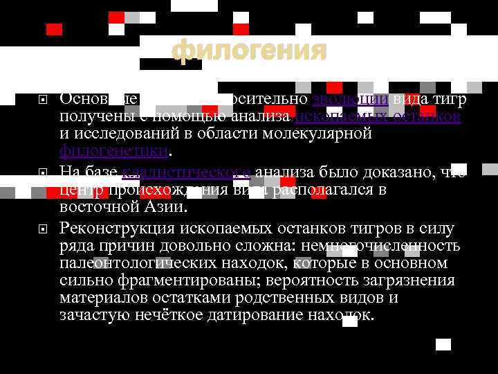 филогения Основные данные относительно эволюции вида тигр получены с помощью анализа ископаемых останков и