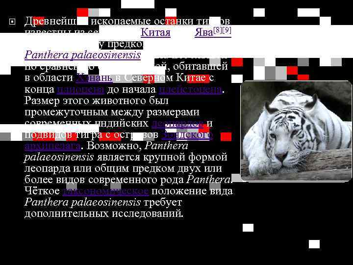  Древнейшие ископаемые останки тигров известны из северного Китая и о. Ява[8][9]. Близкая к