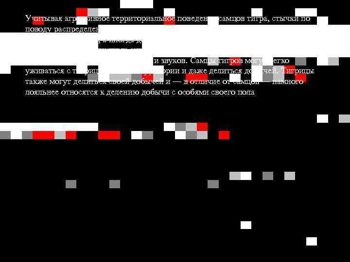 Учитывая агрессивное территориальное поведение самцов тигра, стычки по поводу распределения мест обитания между ними