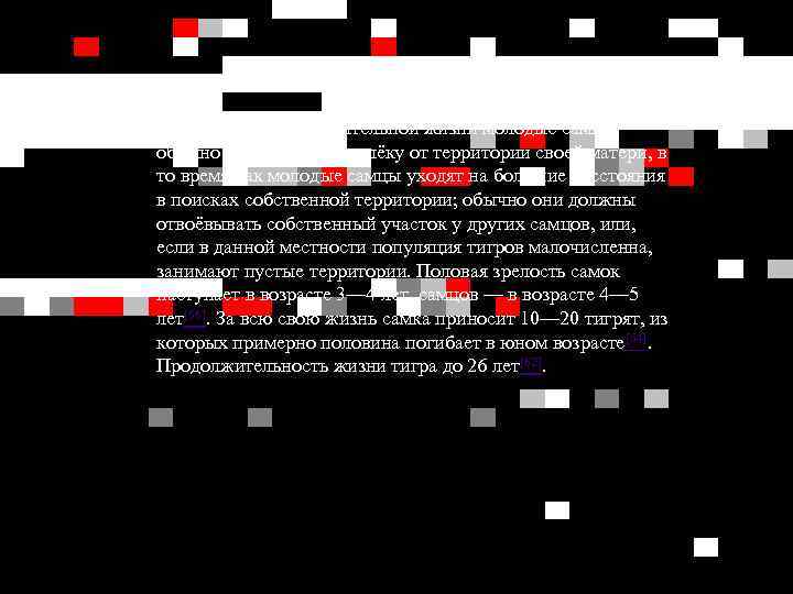 После начала самостоятельной жизни молодые самки обычно остаются неподалёку от территории своей матери, в