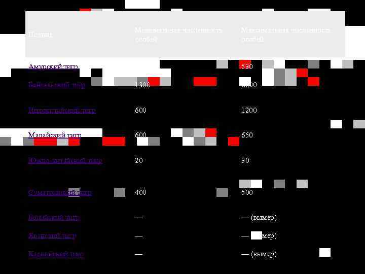 Подвид Минимальная численность особей Максимальная численность особей Амурский тигр 450 530 Бенгальский тигр 1300