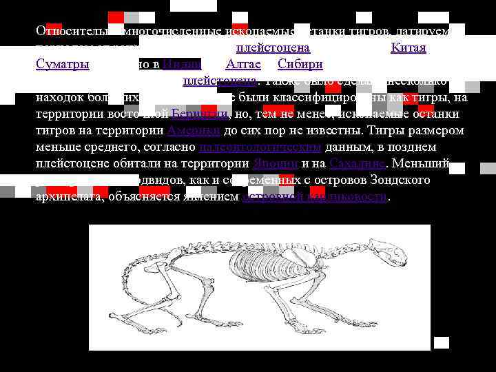 Относительно многочисленные ископаемые останки тигров, датируемые периодом от раннего до позднего плейстоцена, известны из