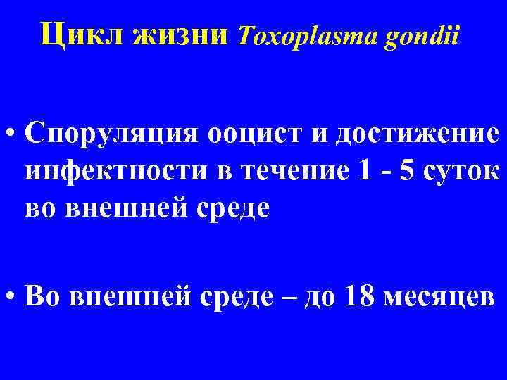 Цикл жизни Toxoplasma gondii • Споруляция ооцист и достижение инфектности в течение 1 -