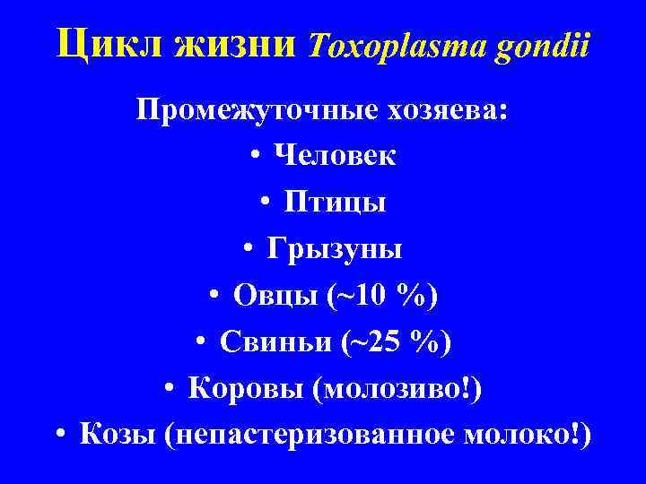 Цикл жизни Toxoplasma gondii Промежуточные хозяева: • Человек • Птицы • Грызуны • Овцы