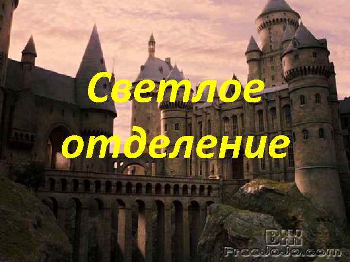 Светлое отделение 