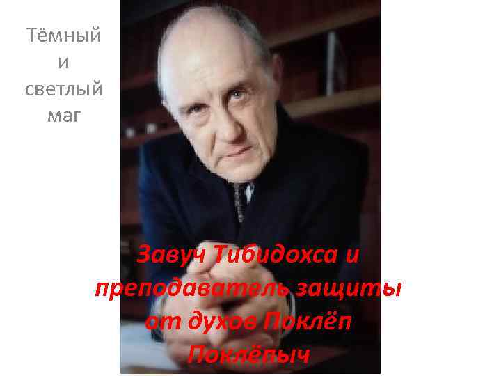 Тёмный и светлый маг Завуч Тибидохса и преподаватель защиты от духов Поклёпыч 