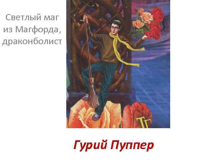 Светлый маг из Магфорда, драконболист Гурий Пуппер 