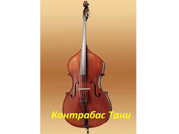 Контрабас Тани 