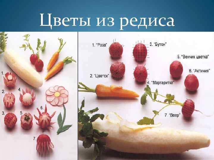 Цветы из редиса 