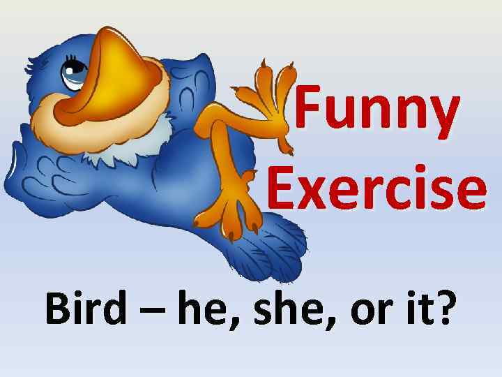 Funny Exercise Bird – he, she, or it? 