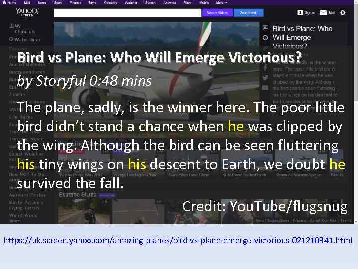 Bird vs Plane: Who Will Emerge Victorious? by Storyful 0: 48 mins The plane,