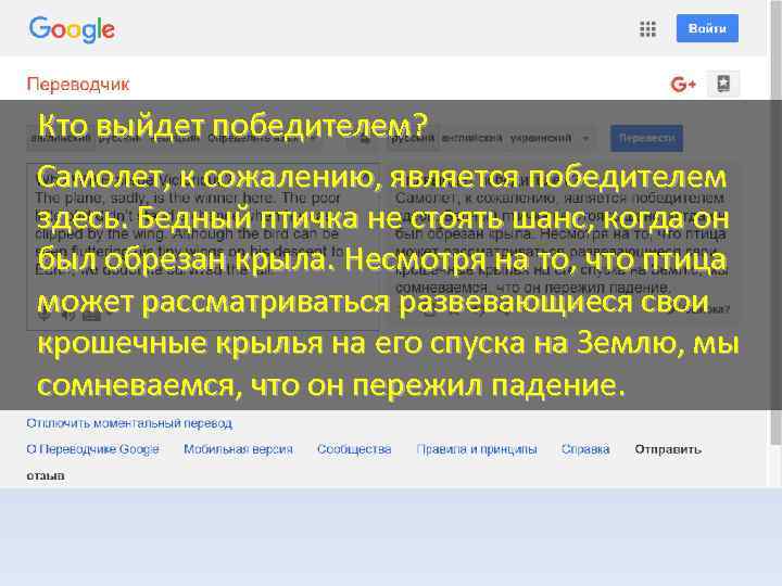 Кто выйдет победителем? Самолет, к сожалению, является победителем здесь. Бедный птичка не стоять шанс,