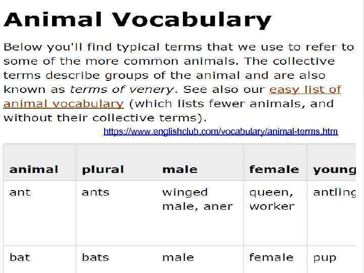 http: //arvindguptatoys. com/arvindgupta/ol dmansea. pdf Common English Grammar Errors with Plurals. mp 4 https: