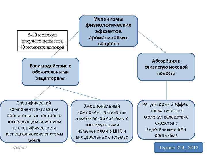 8 -10 молекул пахучего вещества 40 нервных волокон Механизмы физиологических эффектов ароматических веществ Абсорбция