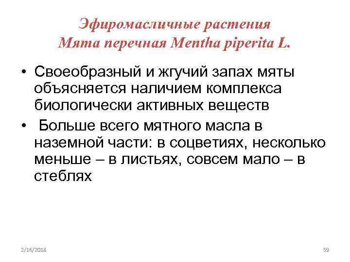Эфиромасличные растения Мята перечная Mentha piperita L. • Своеобразный и жгучий запах мяты объясняется