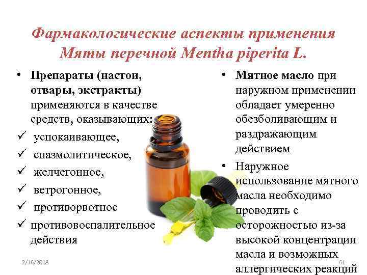 Фармакологические аспекты применения Мяты перечной Mentha piperita L. • Препараты (настои, отвары, экстракты) применяются