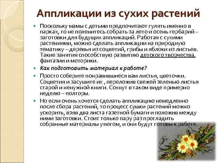 Аппликации из сухих растений Поскольку мамы с детьми предпочитают гулять именно в парках, то