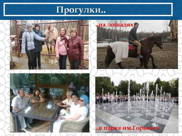Прогулки. . на лошадях . . в парке им. Горького 