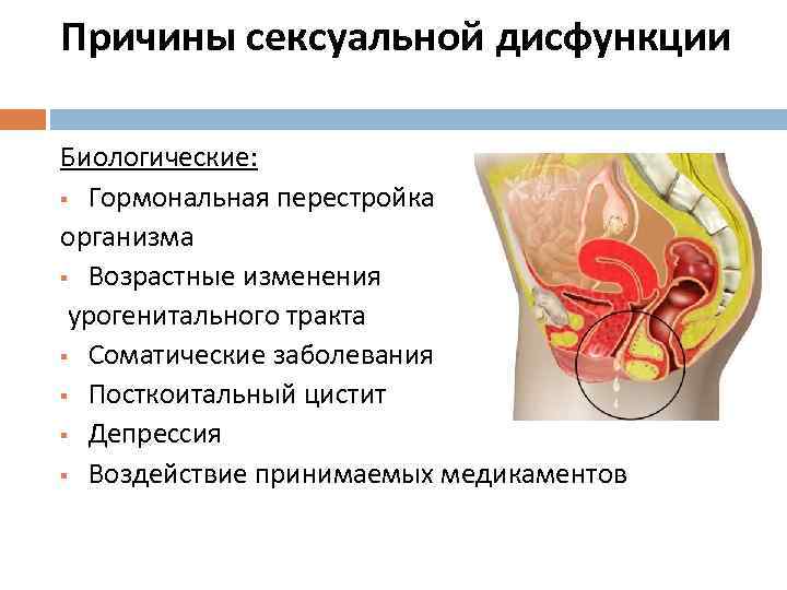 Причины сексуальной дисфункции Биологические: § Гормональная перестройка организма § Возрастные изменения урогенитального тракта §