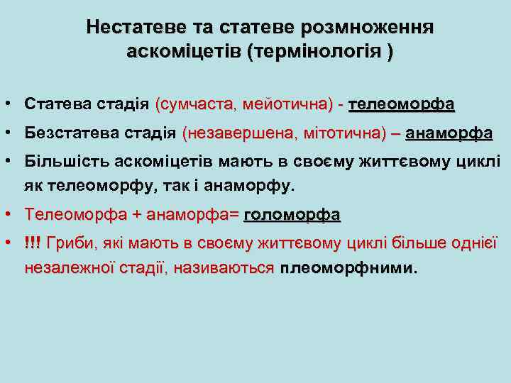 Нестатеве та статеве розмноження аскоміцетів (термінологія ) • Статева стадія (сумчаста, мейотична) - телеоморфа