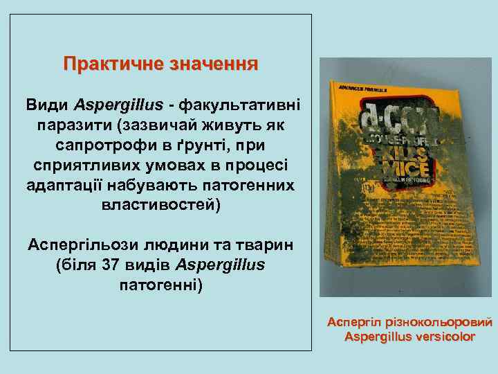 Практичне значення Види Aspergillus - факультативні паразити (зазвичай живуть як сапротрофи в ґрунті, при