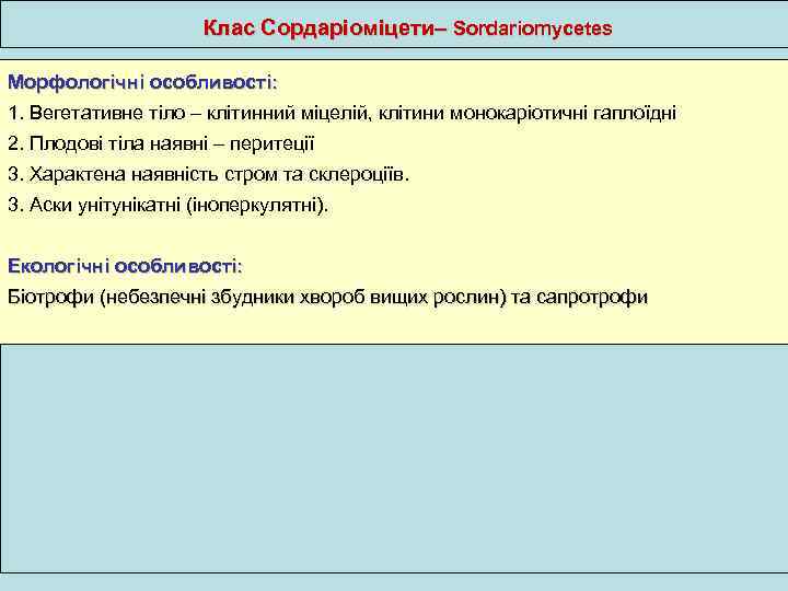 Клас Сордаріоміцети– Sordariomycetes Морфологічні особливості: 1. Вегетативне тіло – клітинний міцелій, клітини монокаріотичні гаплоїдні